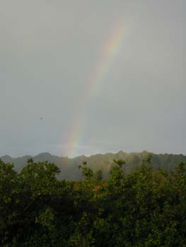 rainbow4
