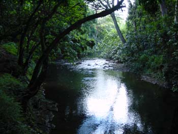 wailua